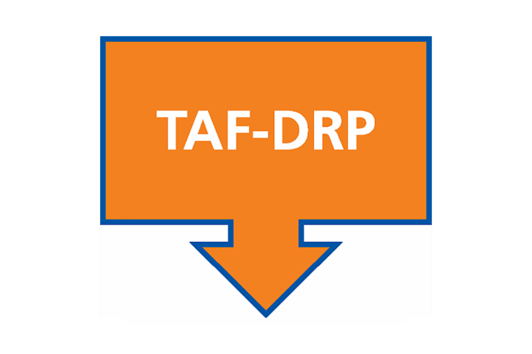 Launch of the Second Call for Project Ideas – TAF-DRP