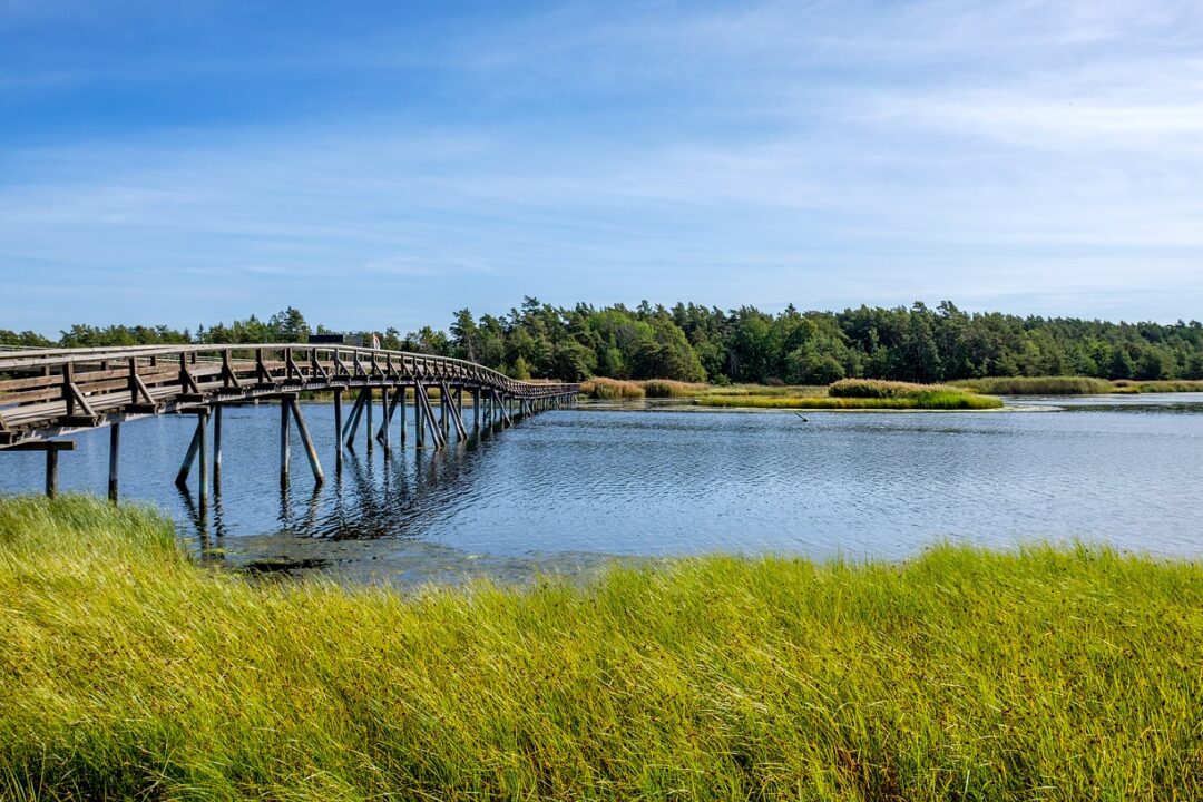 Kick-Off event of Danube Interreg project “Danube Culture Platform – Creative Spaces of the 21st Century”