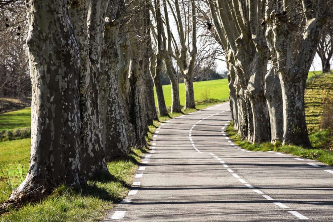Conference on the new Cultural Routes in the Danube Region