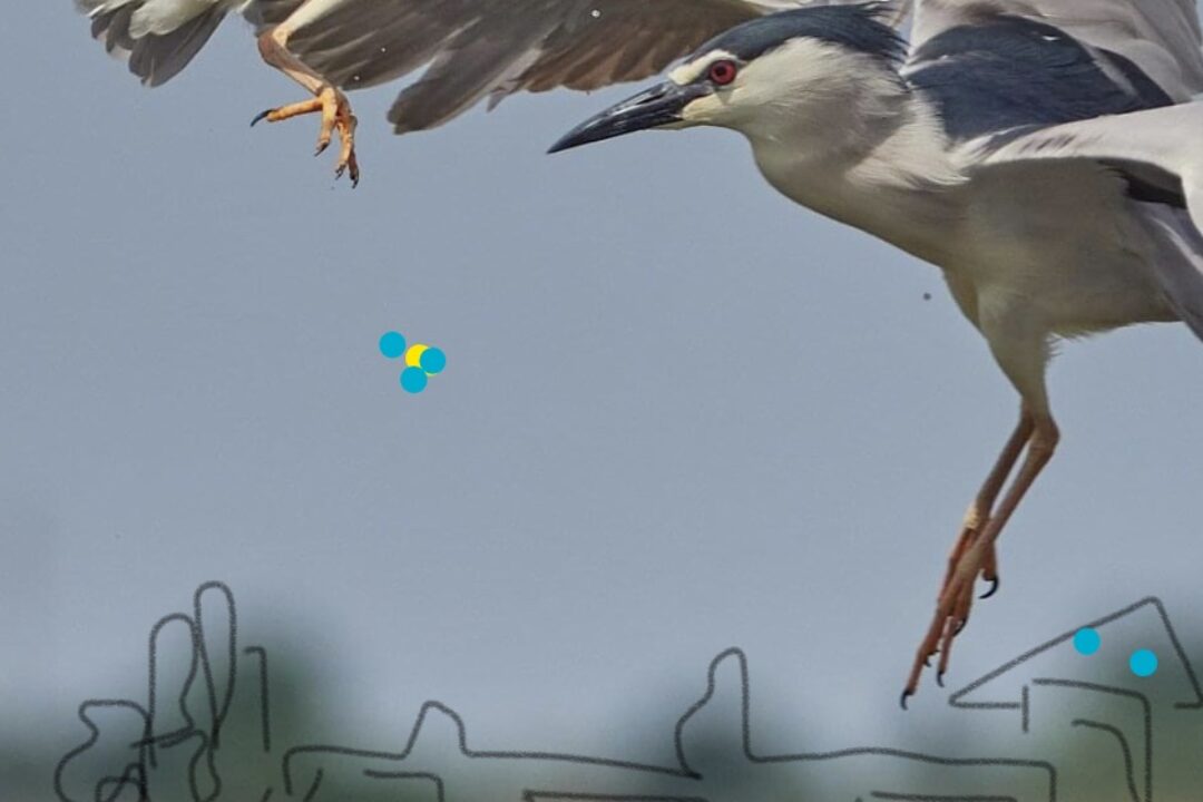 Workshop -The contribution of innovative and creative tourism to support sustainable local development