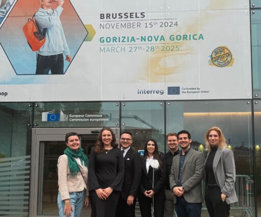 Youth for Cooperation, November, Brussels, 2024