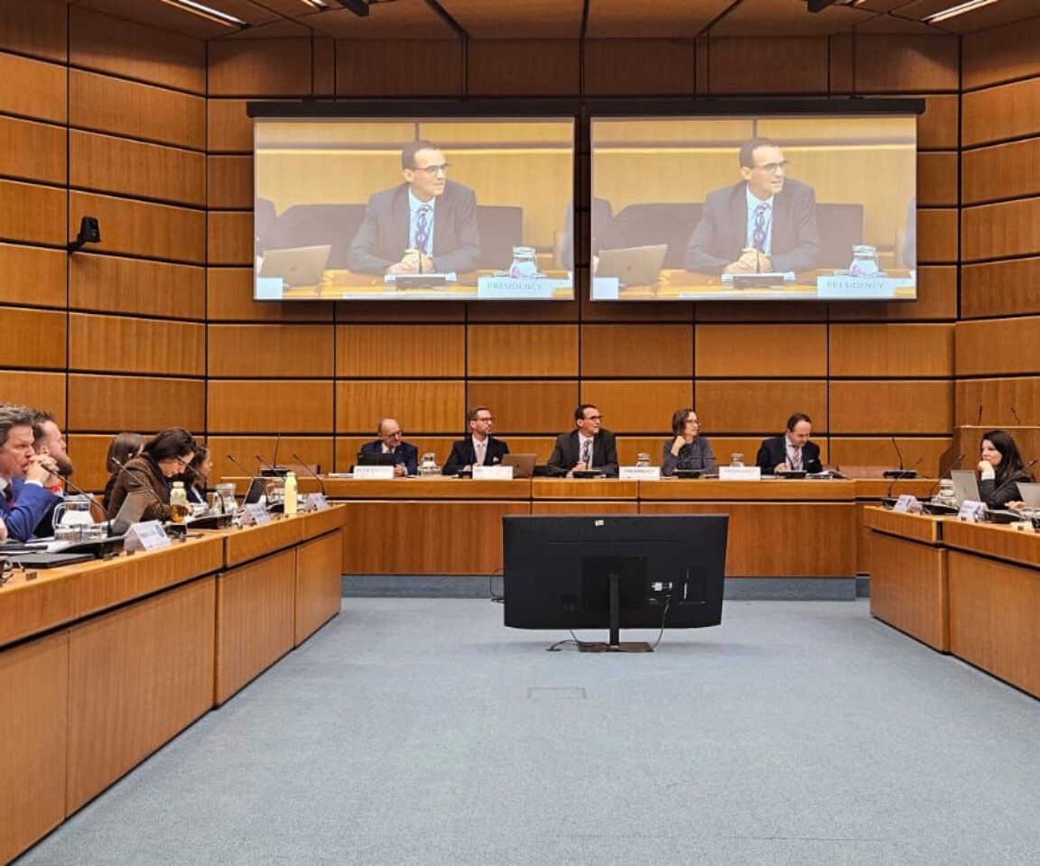 EUSDR Joint Meeting of National Coordinators and Priority Area Coordinators, December, Vienna, 2024