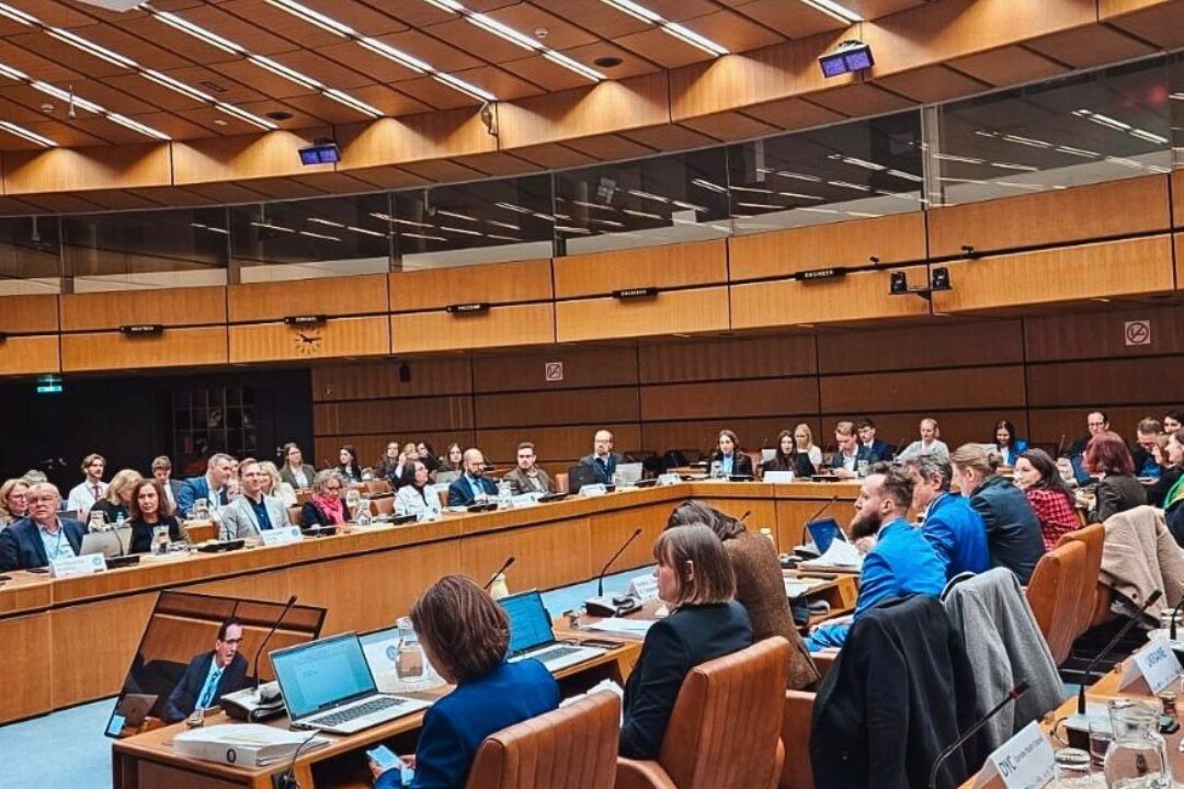 EUSDR Joint Meeting of National Coordinators and Priority Area Coordinators, 10-11 December 2024, Vienna