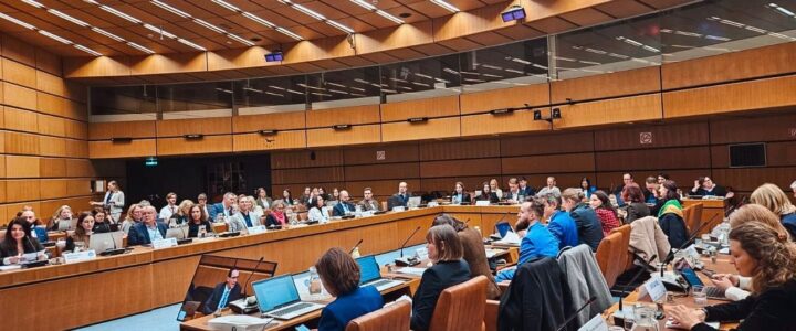 EUSDR Joint Meeting of National Coordinators and Priority Area Coordinators, 10-11 December 2024, Vienna
