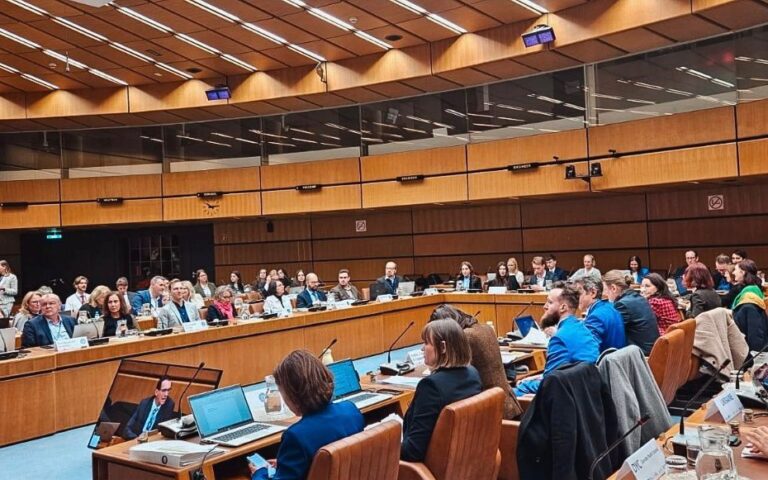 EUSDR Joint Meeting of National Coordinators and Priority Area Coordinators, 10-11 December 2024, Vienna