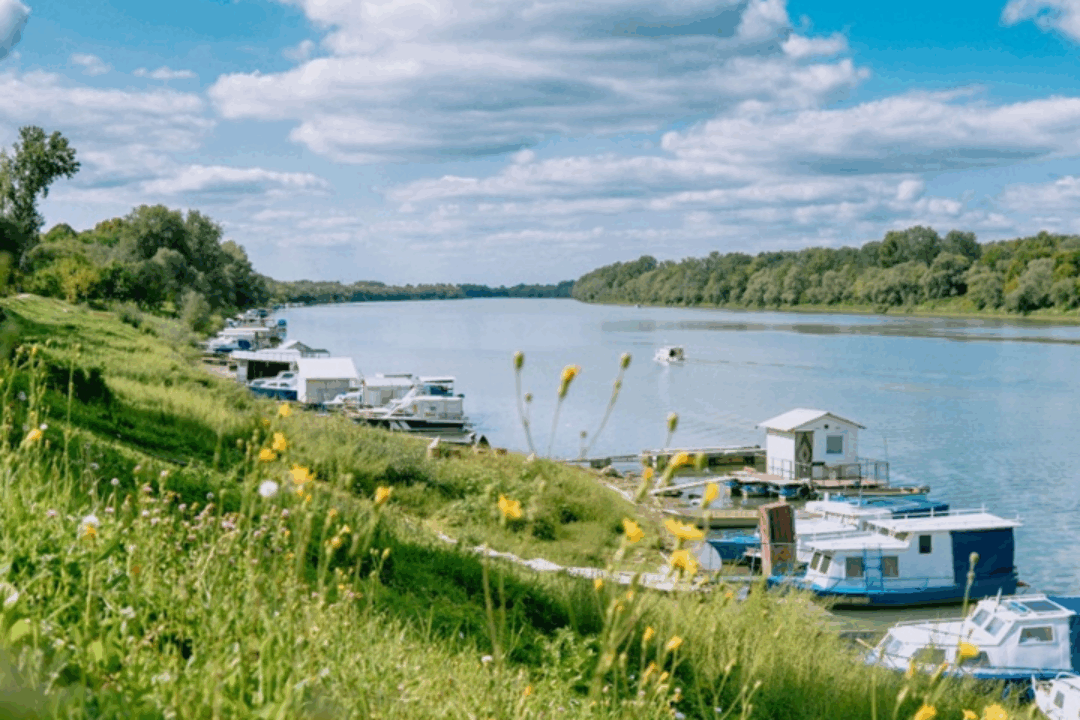 Donausalon 2025, 6 March 2025, Berlin, 19:00 pm, Representation of the Land Baden-Württemberg at the Federation, Tiergartenstraße 15, 10785 Berlin.