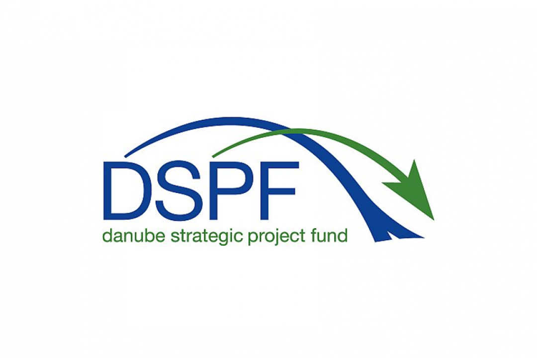 Update on the DSPF Implementation Process