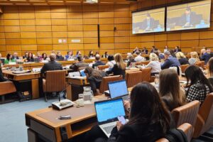 EUSDR Joint Meeting of National Coordinators and Priority Area Coordinators, December, Vienna, 2024