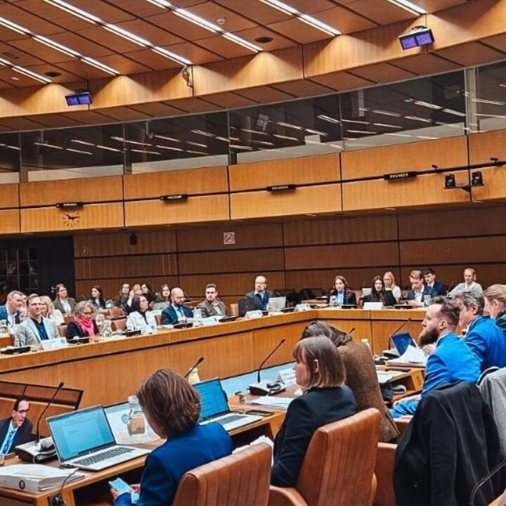 EUSDR Joint Meeting of National Coordinators and Priority Area Coordinators, 10-11 December 2024, Vienna